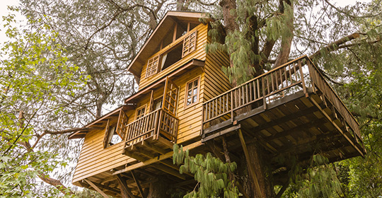 Tree-house-540x280.jpg