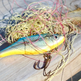 lure tangled in fishing line a common fishing mistake