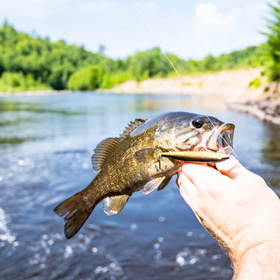 bass fishing texas