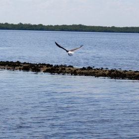 fishing conservation area in U.S.