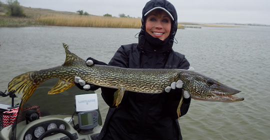 Northern-pike-540x280.jpg