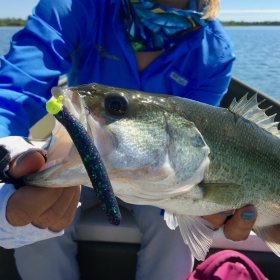 angler showing how to set up a fishing rig for bass