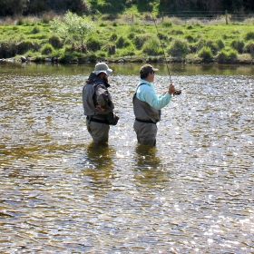 Dry Fly Fishing Tips to Use This Fall
