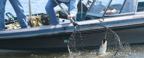 Illinois - Take Me Fishing