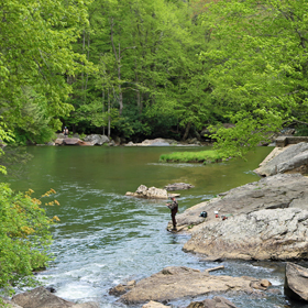 fishing in a pond 