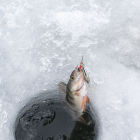 Top 5 Ice Fishing Jigs & Lures - Take Me Fishing