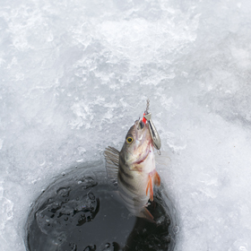 ice fishing jigs and lures