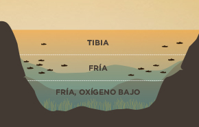 Estancamiento de Agua en Verano