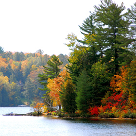 Lake in the fall