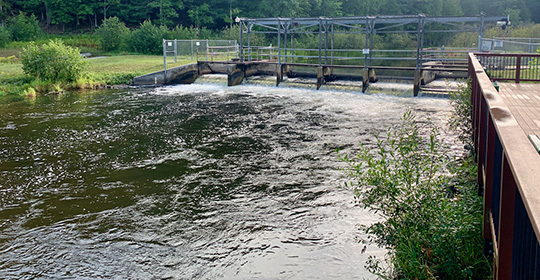 6-Little-Manistee-Weir-540x280.jpg