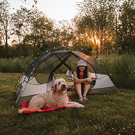 Young woman camping with her dog