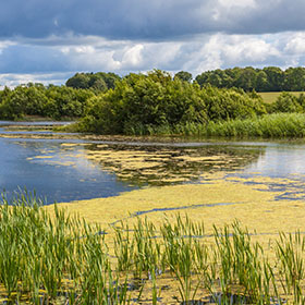 lake eutrophication