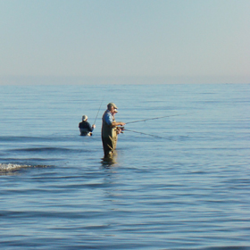 fly fishing for trout