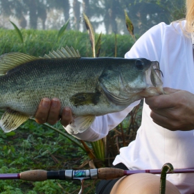 women angler catching bass using artificial lures