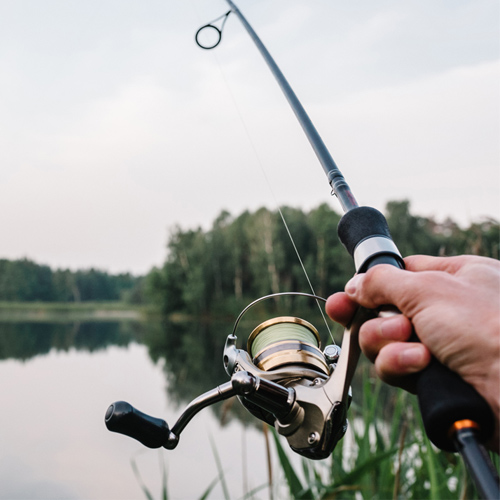 Types of Freshwater Fishing - Take Me Fishing