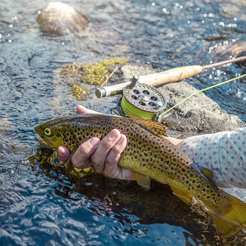Montana Fly Fishing Hooks in Fishing Tackle 