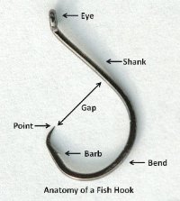 Freshwater Fishing Hooks - Take Me Fishing