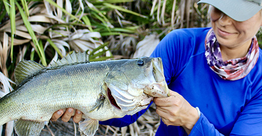 Water Temperature CHEAT SHEET For BASS FISHING // How Water Temp Can Help  You FIND Bass 