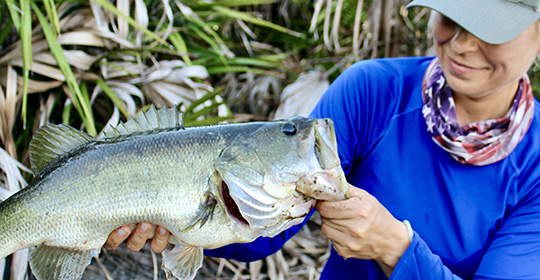 Winter Bass Fishing Secrets for Cold Weather Success - Take Me Fishing