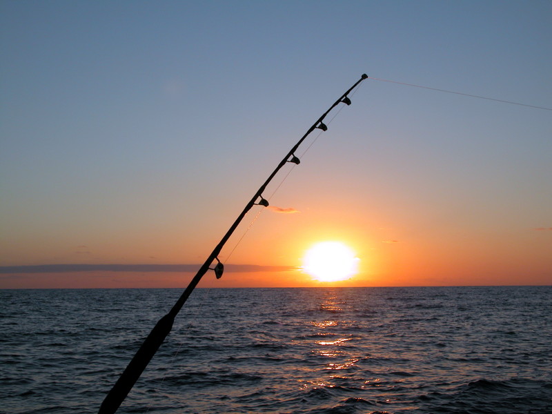 Cuándo Pescar y Navegar