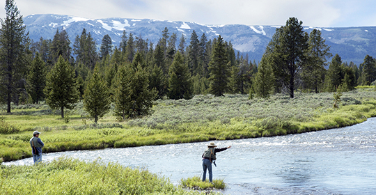 Fly-fishing-540x280.jpg