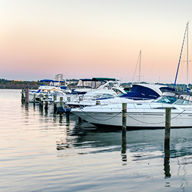 boats in a marina 