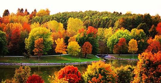 Autumn-Equinox-540x280.jpg