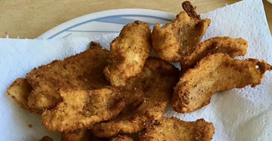 1-Perch-Recipes-Fried-Perch-540x280.jpg