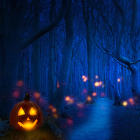 Halloween forest at night