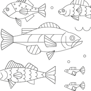 fishing coloring page