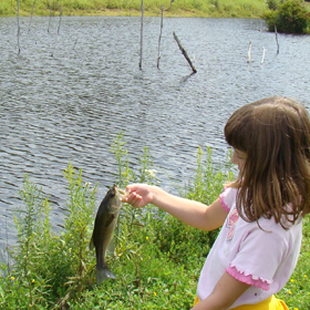 little girl fishing on a pond