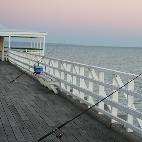 Saltwater Pier & Surf Fishing - Take Me Fishing