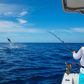 https://www.takemefishing.org/getmedia/f1d87f89-d873-4c00-8c1d-9983f9d963f4/saltwater-fishing-280x280.jpg?width=280&height=280&ext=.jpg